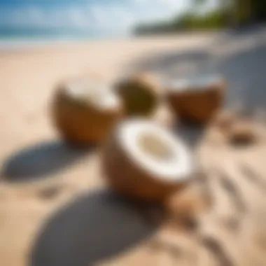 Close-up of refreshing coconuts on the sand