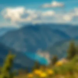 Шри Ланка Эйрлайнс: Официальный Сайт и Полезная Информация для Туристов Introduction