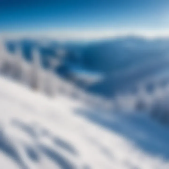 Snow-covered slopes at a ski resort