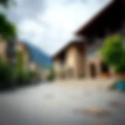 Типы туризма: Исследование разнообразия и особенностей Introduction