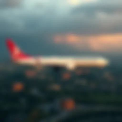 Требования к багажу Turkish Airlines: Полное руково�дство Introduction