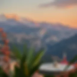 Турагентство 'Мир на ладони' в Ивантеевке: Путеводитель по миру туризма Introduction