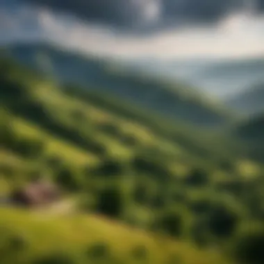 Bulgaria's Rhodope Mountains A picturesque landscape of the Rhodope Mountains showcasing Bulgaria's diverse geography.