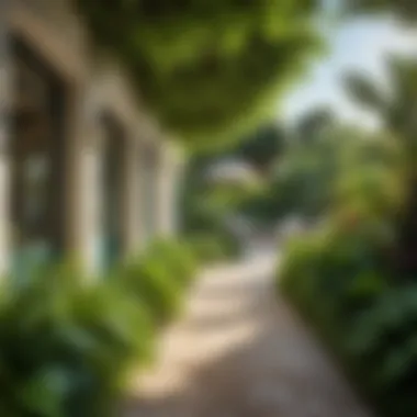 Lush Outdoor Area of a Pansion Welcoming outdoor area of a pansion with lush greenery