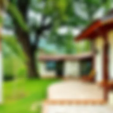 Serene environment surrounding Vitalia Villa, ideal for relaxation.