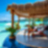 Все включено: Взгляд на концепцию all inclusive в туристической индустрии Introduction