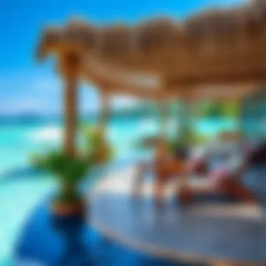 Все включено: Взгляд на концепцию all inclusive в туристической индустрии Introduction