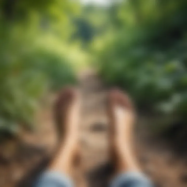 A close-up of feet on a nature trail symbolizing the pace of walking in different terrains