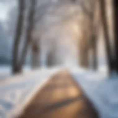 A serene winter park scene with trees frosted with snow and a tranquil pathway