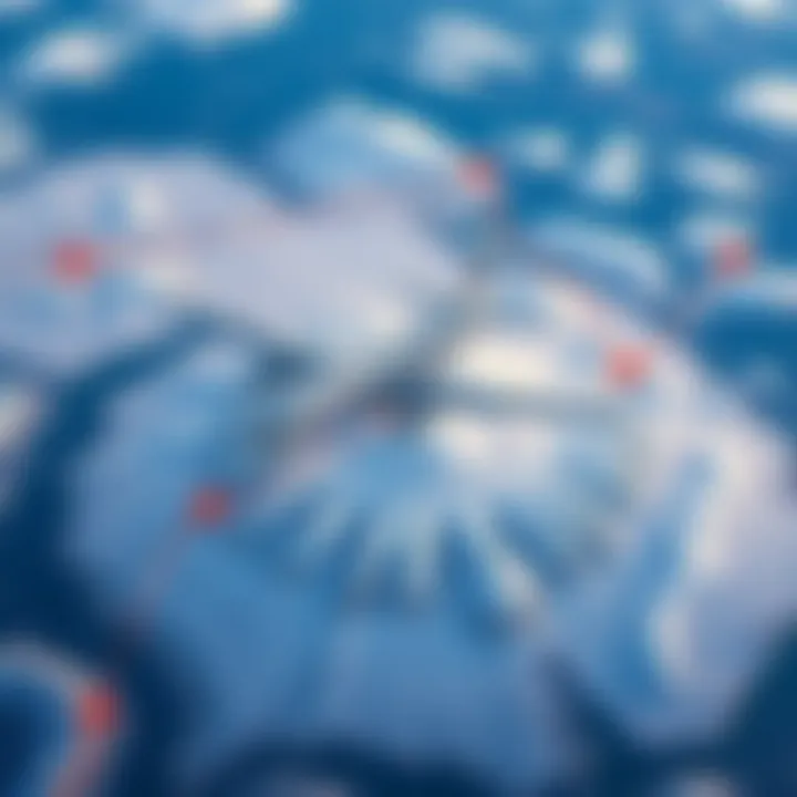 Aerial Perspective of Yamal's Air Connectivity Aerial view of Yamal with flight routes highlighted