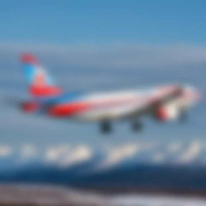 Aircraft of Yamal Airlines in flight