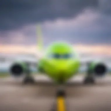 Перевес багажа в самолете: стоимость за 1 кг в S7 Airlines Introduction